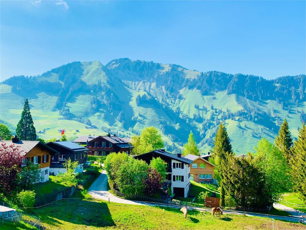 The Swiss Paradise 1 Penthouse Apartment Wirzweli Zewnętrze zdjęcie